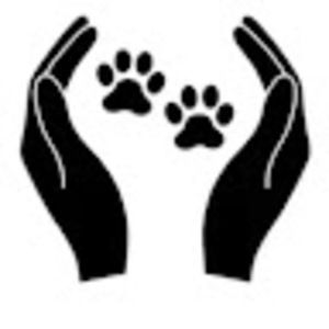 Meet your Posher, Rob